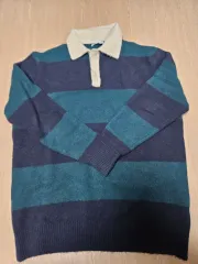 ザラ ストライプ カラ ニット