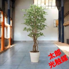 光触媒 人工観葉植物 ウォールグリーン フェイクグリーン イチョウの木