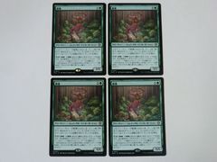 MTG　鮮麗　英語4枚セット 鮮麗 英語 4枚セット - メルカリ