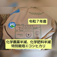 令和7年山口県産 コシヒカリ玄米 20キロ - メルカリ