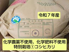 令和7年 石川県産コシヒカリ玄米30キロ - メルカリ