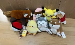 ぬいぐるみ まとめ売り (ピカチュウ 外) まとめ