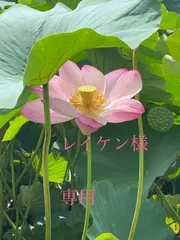 レイケン様　専用