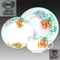 2026年最新】セーブル カップの人気アイテム - メルカリ