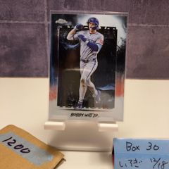 Item thumbnail for item d1ef818d-5a7d-4c25-8850-e057788b92cd