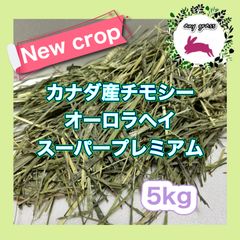 SOCIE Amor60 タウリン 60本入り - メルカリ
