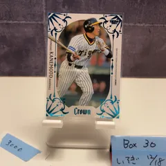 元﻿阪神タイガース 金本知憲選手、新井貴浩選手 直筆サイン色紙です