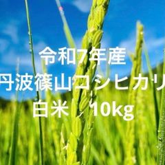 036225様専用 農薬不使用コシヒカリ天日干し 玄米10キロ もみすり立て
