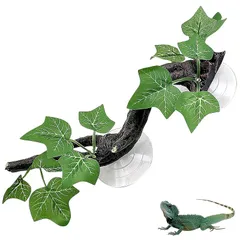 2026年最新】爬虫類 ケージ 木製の人気アイテム - メルカリ