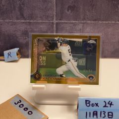 Item thumbnail for item feba8c85-3660-4c8c-bb15-0a7c268300f9