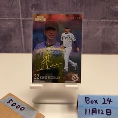 Item thumbnail for item dadbb737-0396-458d-865b-d248504eaf6e