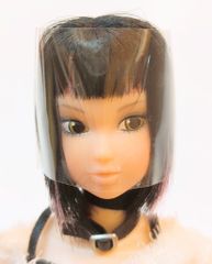 Item thumbnail for item 4509c17e-f49d-42b8-b511-85e22fbe4582