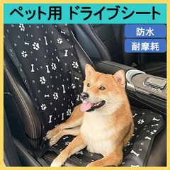 Item thumbnail for item eb7d6e0c-8ecc-45b4-81ca-bd6e054da9fe