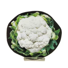 アンダーカバー UNDERCOVER 25SS 転写ポーチ Cauliflower  レディース 表記無 のサムネイル