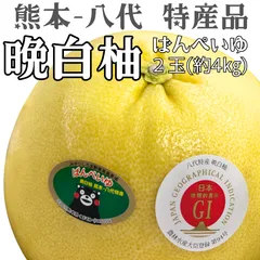 今が旬！熊本 八代 特産 晩白柚 ばんぺいゆ 2玉 約4kg くまモン  贈答用 専用 化粧箱入 ギフト プレゼント フルーツ 柑橘 王様 世界最大 皮まで使える お風呂 砂糖漬け 高級 旬
