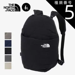 種類5：(VW)ビンテージホワイト/F THE NORTH FACE ザ・ノースフェイス　Geoface Mini Pack　ジオフェイスミニパック　NM32351 ユニセックス 6L デイパック リュック ノースフェイス (230918)