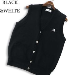 Item thumbnail for item 60c5fae6-aa84-4993-8b33-a0774383801e