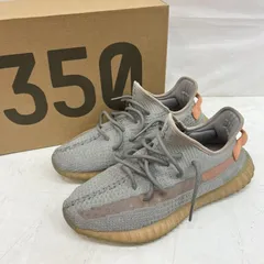 アディダス Yeezy Boost 350 V2 True Form EG7492 イージー ブースト メンズ 28.0cm ISItems【USED】【古着】【中古】50151786