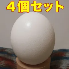 2026年最新】エッグアート たまごの人気アイテム - メルカリ