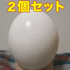 2026年最新】エッグアートの人気アイテム - メルカリ