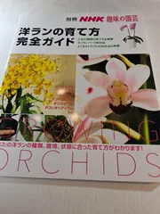 洋ランの育て方完全ガイド