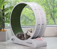 Item thumbnail for item 4c41f644-b003-48b5-9821-a8ee03b85005