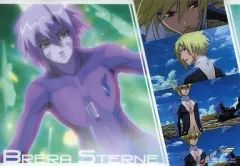 【中古】キャラカード(キャラクター) ブレラ・スターン マクロスF(フロンティア) ビジュアルアートブロマイド