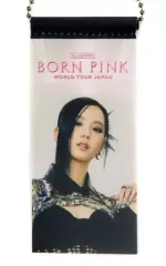 【中古】キーホルダー ジス ミニタペストリーキーホルダー 「BLACKPINK WORLD TOUR [BORN PINK] JAPAN」
