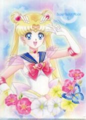 [Used] Clear File - Super Sailor Moon "Jumbo Carddass Pretty Guardian Sailor Moon Art File Collection 2"