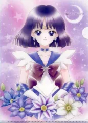 【中古】クリアファイル セーラーサターン 「ジャンボカードダス 美少女戦士セーラームーン アートファイルコレクション2」