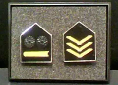 非売品 図書館戦争 関東図書隊階級章 ピンズコンプリートセット レア Amazon | 図書館戦争 革命のつばさ 図書隊階級章ステッカー | シール