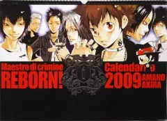 【中古】カレンダー 家庭教師ヒットマンREBORN! 2009年度コミックカレンダー 
