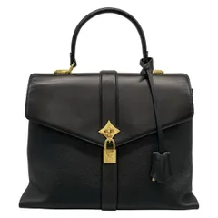 LOUIS VUITTON(ルイヴィトン) ハンドバッグ ローズ・デ・ヴァンMM M53816 ノワール レザー