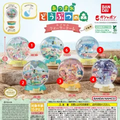 どうぶつの森 캡슐 ウォータードーム ガチャ 新品