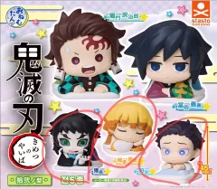 鬼滅の刃おねむたん（我妻 善逸 カイ 我）新品