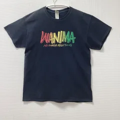 古着　美品　GILDAN　ギルダン　WANIMA　ワニマ　半袖Tシャツ　ユニセックス　Lサイズ　クルーネック　コットン　ブラック　黒　WANIMA NO IMAGE FELT THING　バンド　音楽　グッズ　PIZZA OF DEATH RECORDS　レア