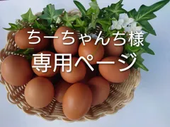 ちーちゃんち様☆専用　朝採り新鮮！平飼い濃厚卵　純国産赤鶏あずさ30個