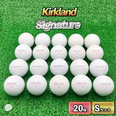 ロストボール タイトリスト Pro V1x 20球 年式混合 ホワイト Bランク