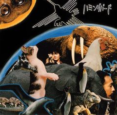 ☆スプルース×マホガニーオール単板極上ハミングバード新品！ブラック