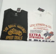 Levi's リーバイス Tシャツ 半袖 2枚セット 　　*2581
