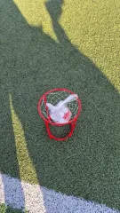 ミニ バスケット ゴール + ボール セット