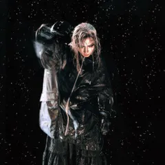 2026年最新】sic boyの人気アイテム - メルカリ