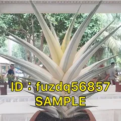 2026年最新】スノーホワイト サンスベリアの人気アイテム - メルカリ