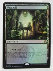 MTG 草むした墓 Foil 日本語版 プレイ用