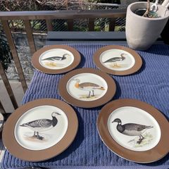 睡蓮鉢 超大型 骨董 植木鉢 61×34 横浜から50kmほど - メルカリ