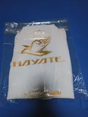 定価16,520円 空手衣 HAYTE Airize 5号 試着用 アウトレット