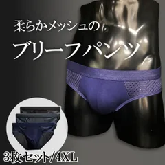 ブリーフパンツ メッシュ生地 3色セット メッシュブリーフ ビキニブリーフ 下着 インナー メンズ 男性用 シンプル 大きいサイズ 4XL 5L 無地