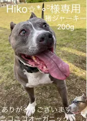Hiko✩*॰¨̮様専用