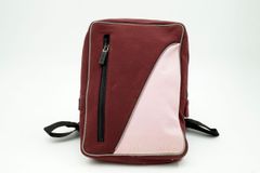 ミュウミュウ 2way アーカイブ ミニ ショルダー バックパック バッグ リュック 型押しロゴ バイカラー ナイロン 赤 レッド MIUMIU 4742h