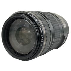 Canon ZOOM LENS EF 75-300mm F4-5.6 IS ズームレンズ ジャンク Y10842128